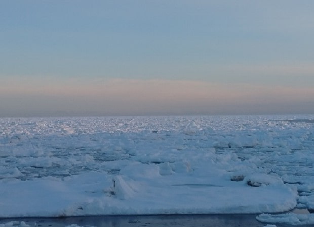 厚い流氷が浜に近づいてくる写真