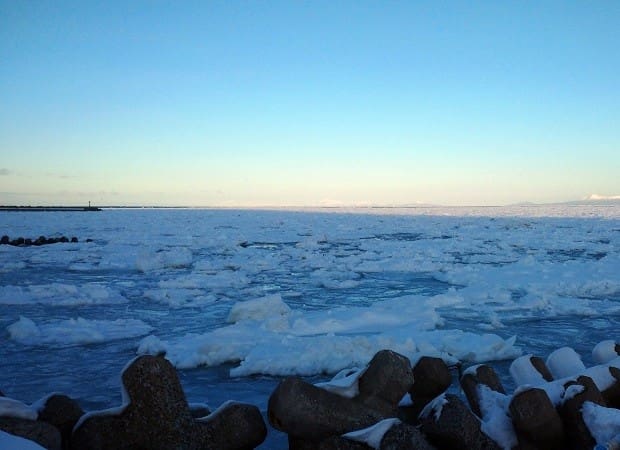 羅臼の前浜に流氷が押し寄せる写真