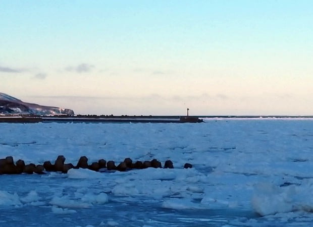 羅臼の海岸に流氷が接岸した写真