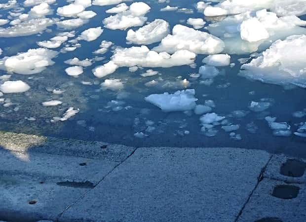 流氷のかけらが接岸する写真